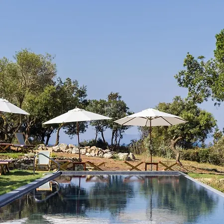 Villa Talamo *